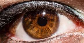 Foto: (RobertHarris000/istock)