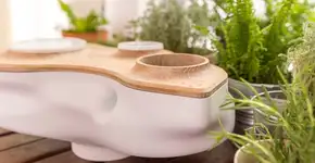 Designers criam composteira de mesa que vira vaso de plantas