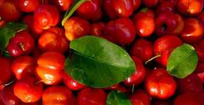 Saiba quais alimentos ajudam a manter o bronzeado