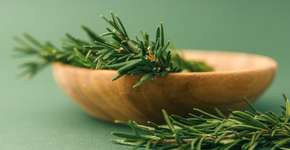 Foto: (Imagem sem texto alternativo disponivel ID [2715000])