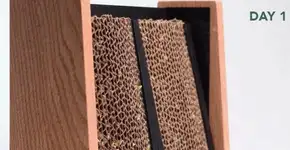 Foto: (Imagem sem texto alternativo disponivel ID [1894154])