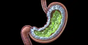 Foto: (Imagem sem texto alternativo disponivel ID [2705219])