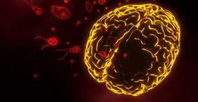 Foto: (sutthiphorn phanchart/iSTock)