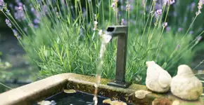 Foto: (Claudia Krahne/istock)