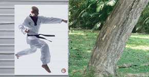 Foto: (Imagem sem texto alternativo disponivel ID [830664])