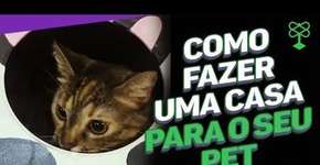 Como fazer uma casa para o seu pet com uma lata usada #CatracaLivreEconomize