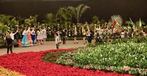 Festa das Flores transforma Joinville (SC) num imenso jardim