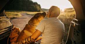 Foto: (supersizer/iStock)