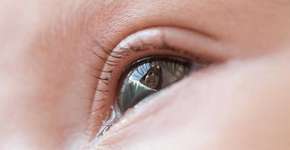 Foto: (Imagem sem texto alternativo disponivel ID [1155957])