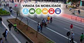 Foto: (Imagem sem texto alternativo disponivel ID [1854479])