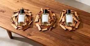 Foto: (Imagem sem texto alternativo disponivel ID [2670022])