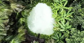 Fervedouros do Jalapão: fenômeno só existe no Brasil e você não vai acreditar como eles são formados