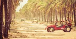 Foto: (Imagem sem texto alternativo disponivel ID [1553726])