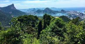 Foto: (Imagem sem texto alternativo disponivel ID [1026182])