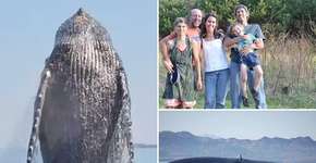 Foto: (Imagem sem texto alternativo disponivel ID [1866991])