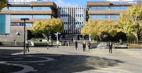 Universidade da Nova Zelândia oferece bolsas de estudos