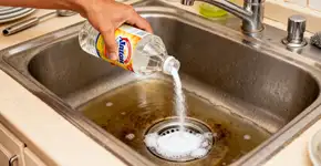 Foto: (Imagem sem texto alternativo disponivel ID [2683094])