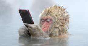 Votação popular escolhe as melhores fotos de vida selvagem de 2014