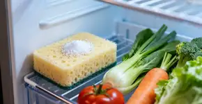 A dica da esponja dentro da geladeira para evitar mofo em alimentos
