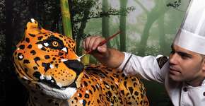 Foto: (Imagem sem texto alternativo disponivel ID [1867534])