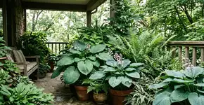 Um jardim sombreado: que plantas escolher para criar um oásis verde sem luz solar direta?