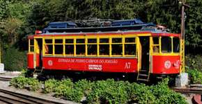 Foto: (Divulgação)