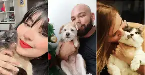 Dia Mundial dos Animais de Rua: conheça os pets mais fofinhos adotados pela Catraca Livre