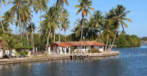 Foto: (Imagem sem texto alternativo disponivel ID [1505110])