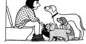 Foto: (Imagem sem texto alternativo disponivel ID [899376])