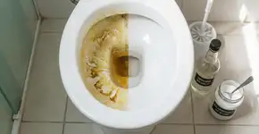 Foto: (Imagem sem texto alternativo disponivel ID [2746240])