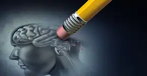 Transforme seu cérebro: o poder dos exercícios para a mente