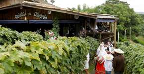 Foto: (Imagem sem texto alternativo disponivel ID [2185925])