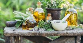 Menopausa: 6 plantas que contribuem para o bem-estar feminino