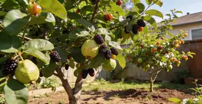 Foto: (Imagem sem texto alternativo disponivel ID [2698272])