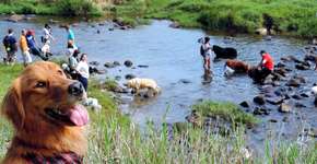 Foto: (Imagem sem texto alternativo disponivel ID [1868957])