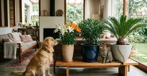 Se você tem cães ou gatos, nunca coloque estas 3 plantas em casa: elas podem ser perigosas para a saúde deles