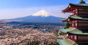 Foto: (Imagem sem texto alternativo disponivel ID [877306])