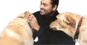 Foto: (Imagem sem texto alternativo disponivel ID [1187626])