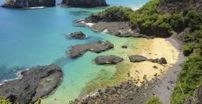 Foto: (Imagem sem texto alternativo disponivel ID [1868387])