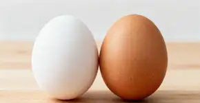 Aprendi isso aos 60: Poucas pessoas sabem a diferença entre ovos brancos e marrons