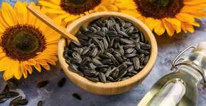 6 benefícios das sementes de girassol para a saúde e como usá-las
