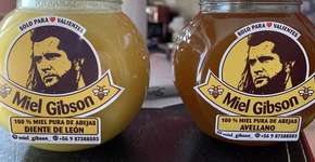 ‘Miel Gibson’ é notificada por violação de direitos do ator