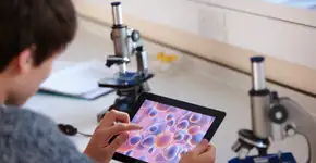 Foto: (Getty Images/Cultura RF)