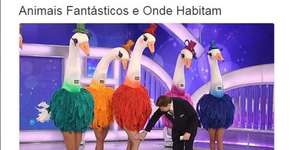 Versões bizarras que a internet fez de ‘Animais Fantásticos’