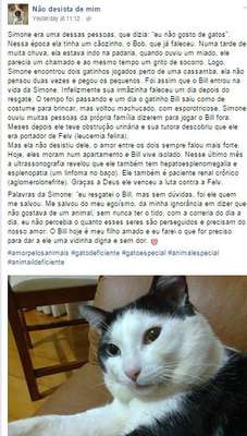 Página conta a história dos animais (Imagem: Reprodução/Facebook)