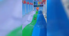 Este cachorro em um escorregador vai melhorar o seu dia