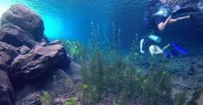 Foto: (Imagem sem texto alternativo disponivel ID [1468559])