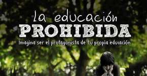 Foto: (Imagem sem texto alternativo disponivel ID [1861468])