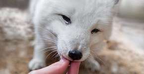 Foto: (Imagem sem texto alternativo disponivel ID [796767])