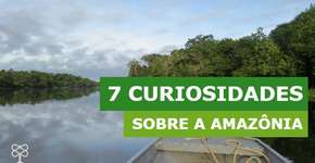 7 curiosidades sobre a Amazônia